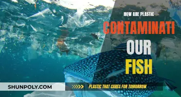 Plastic Pollution: Fish at Risk