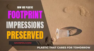 Plastic Prints: Preserving Impressions in Ancient Artifacts