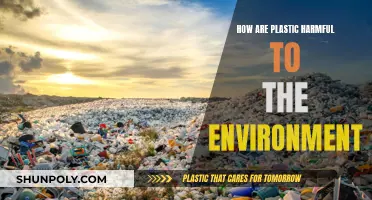 Plastic Pollution: Harming Our Planet, Our Health