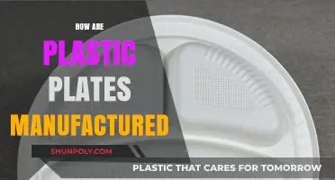 From Raw Material to Dinner Table: The Journey of Plastic Plates