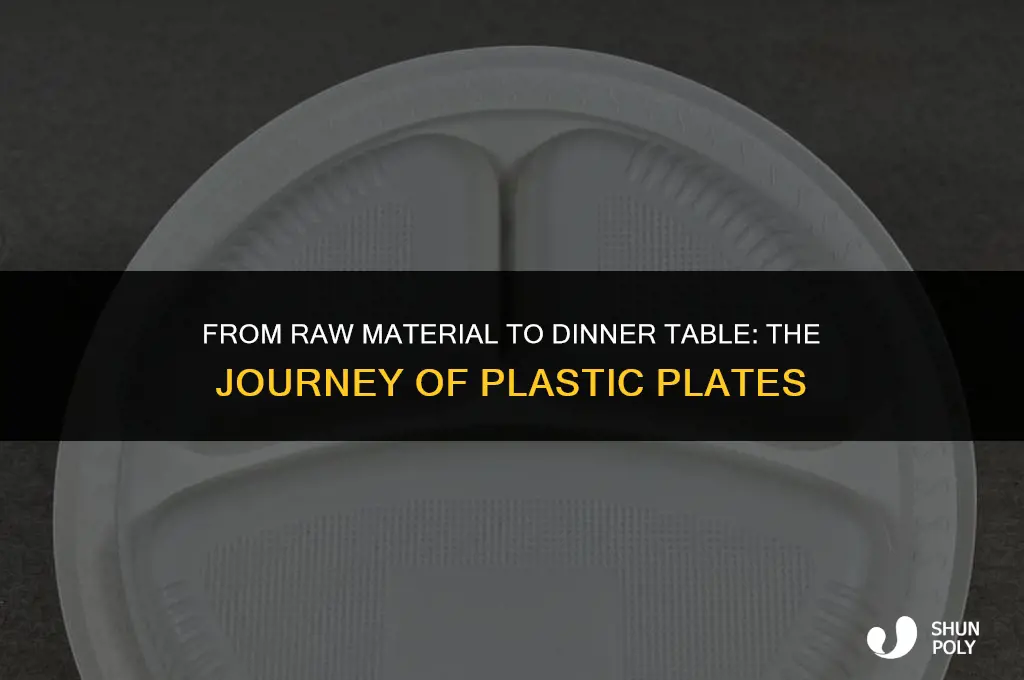 how are plastic plates manufactured
