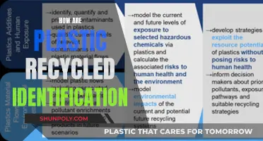 Unraveling the Mystery: Understanding Plastic Recycling Codes