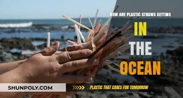 How Plastic Straws End Up Polluting Our Oceans: A Deep Dive