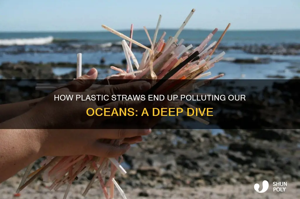 how are plastic straws getting in the ocean