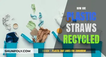 Transforming Plastic Straws: The Journey to Recycling Success