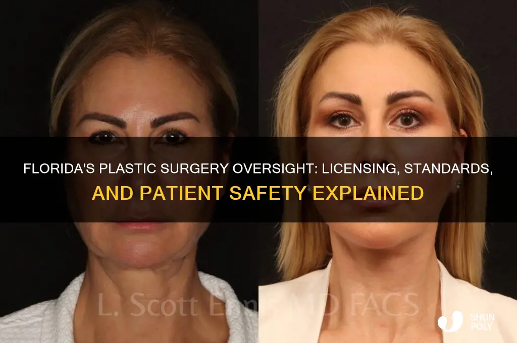 how are plastic surgeons regulated in florida