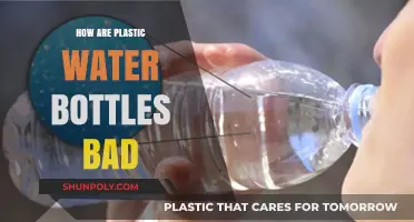 The Hidden Dangers of Plastic Water Bottles: Environmental and Health Impacts