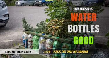 Eco-Friendly Benefits of Reusing Plastic Water Bottles Daily