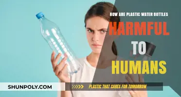 Plastic Water Bottles: Hidden Health Hazards and Human Impact