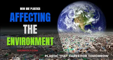 Plastic Pollution: Impacting Our Environment and Ecosystems