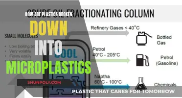 The Mystery of Microplastics: How Plastics Break Down