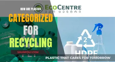 Understanding Plastic Recycling: A Comprehensive Guide to Categories