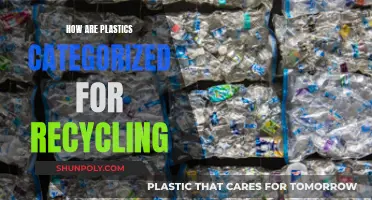 Understanding Plastic Recycling: Categorization and Its Importance