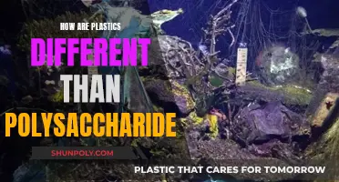 Plastic vs Polysaccharides: The Key Differences