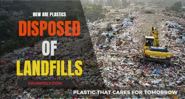 The Impact of Plastic Disposal in Landfills
