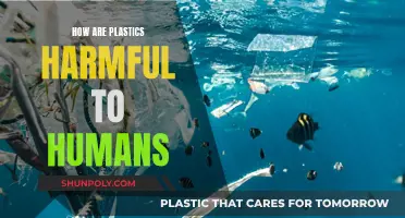 Plastics' Harmful Effects on Humans and Our Health