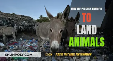 Plastics' Toxic Legacy: Killing Land Animals