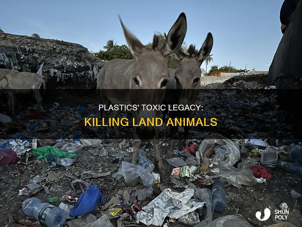 how are plastics harmful to land animals