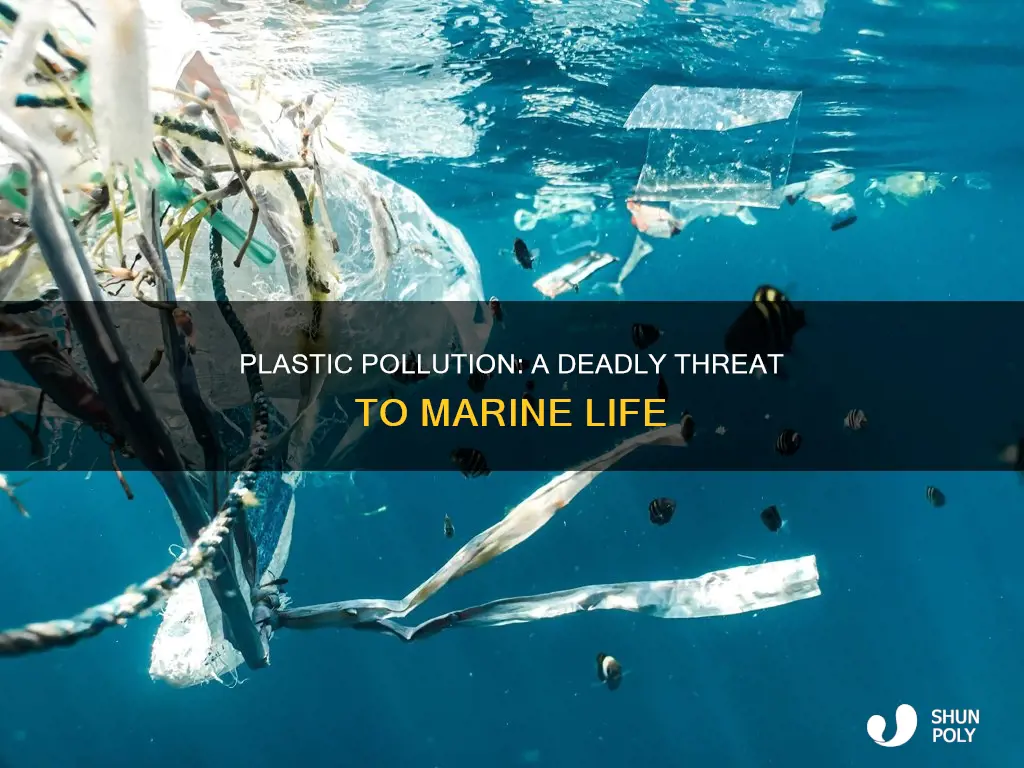 how are plastics harmful to marine life