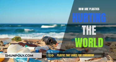 Plastic's Harmful Impact: A Global Crisis