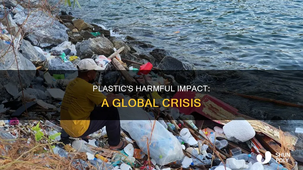 how are plastics hurting the world