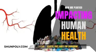 Plastics' Impact on Human Health: A Growing Concern