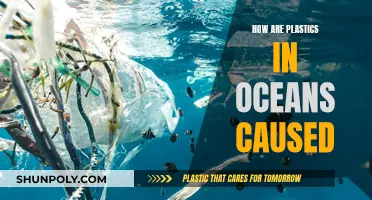 Plastic Pollution: Ocean Crisis from Human Carelessness