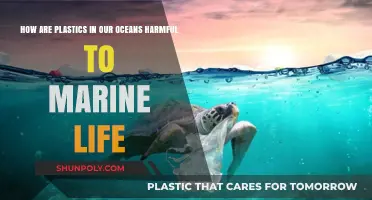 The Devastating Impact of Ocean Plastics on Marine Ecosystems
