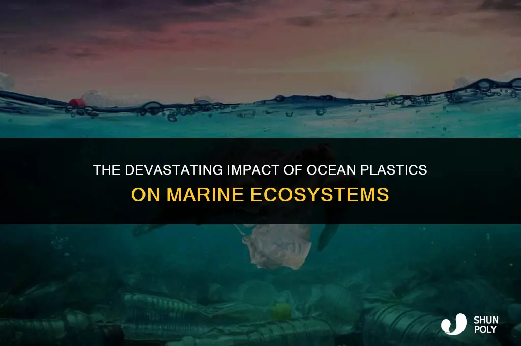 how are plastics in our oceans harmful to marine life