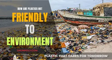 Plastics: Harming the Environment, Not So Friendly After All