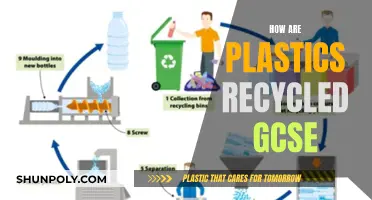 Unraveling the Recycling Process: GCSE Guide to Plastic Waste Management