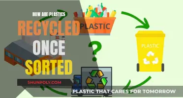 Unraveling the Journey: From Sorted to Recycled Plastic