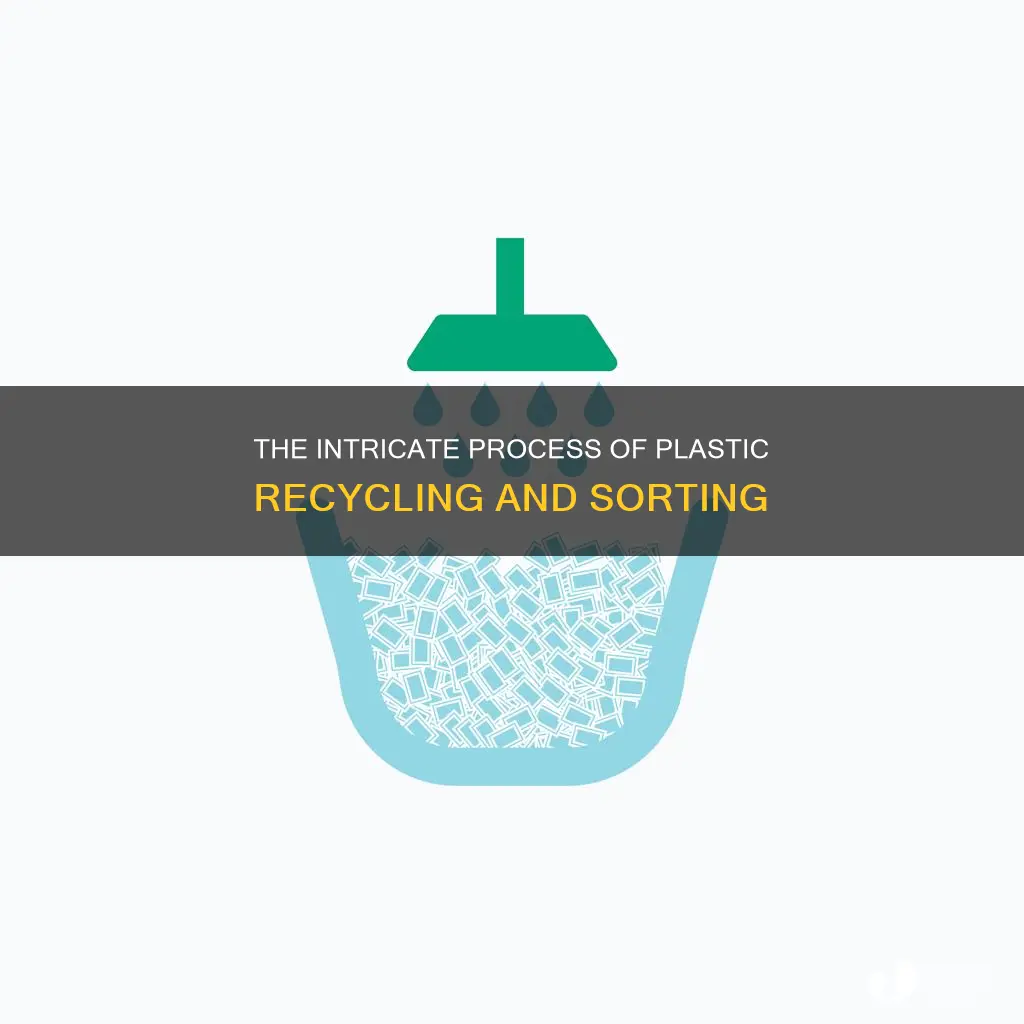 how are plastics recycled once sorted