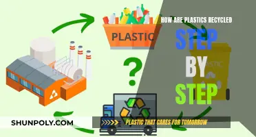 Unraveling the Plastic Recycling Process: A Step-by-Step Guide