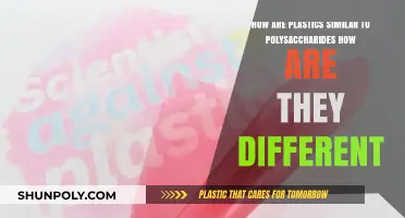 Unraveling the Complexities: Plastics vs. Polysaccharides - A Comparative Insight