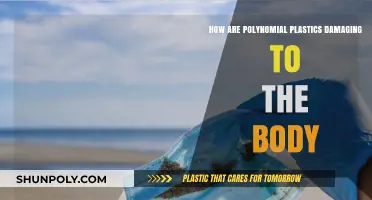 The Hidden Dangers of Polynomial Plastics: A Health Perspective