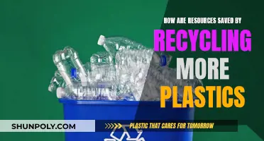 Recycling Plastics: A Green Revolution for Resource Conservation