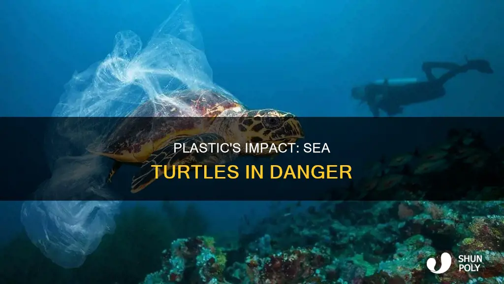 how are sea turtles affected by plastic