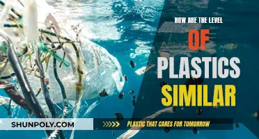 Plastic Pollution: Similar Levels, Global Crisis