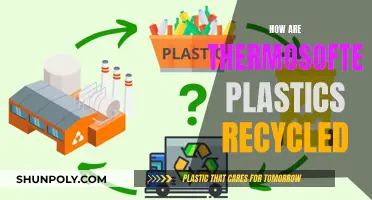 Thermosoftening Plastics: Unraveling the Recycling Process and Its Impact