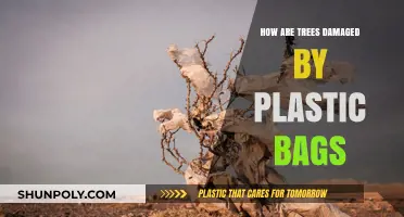 Plastic Bags' Silent Harm: Understanding Tree Damage and Environmental Impact