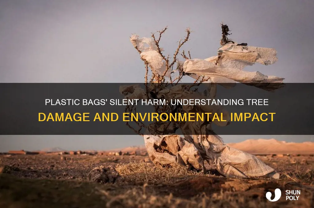 how are trees damaged by plastic bags