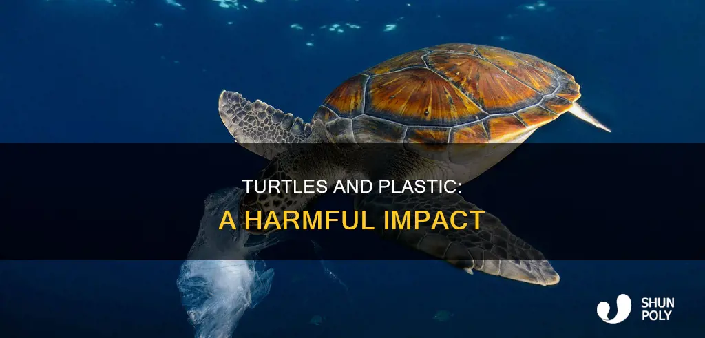 how are turtles impacted by plastic