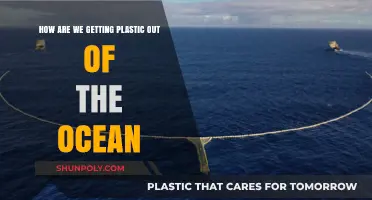 Innovative Solutions to Remove Plastic Pollution from Our Oceans
