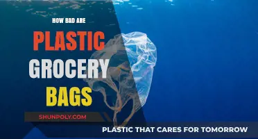 The Hidden Environmental Impact of Plastic Grocery Bags