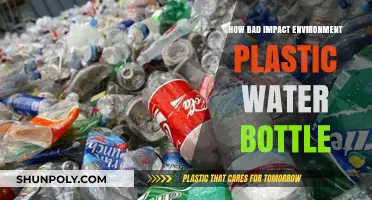 Plastic Water Bottles: Devastating Environmental Impact and Sustainable Alternatives