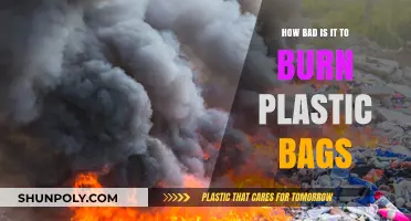 Burning Plastic Bags: Environmental Hazards and Health Risks Explained