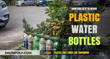 Reusing Plastic Water Bottles: Health Risks and Environmental Impact Explained