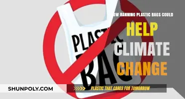 Banning Plastic Bags: A Simple Step to Combat Climate Change