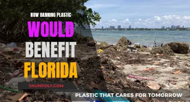 Florida's Plastic-Free Future: Benefits and Opportunities